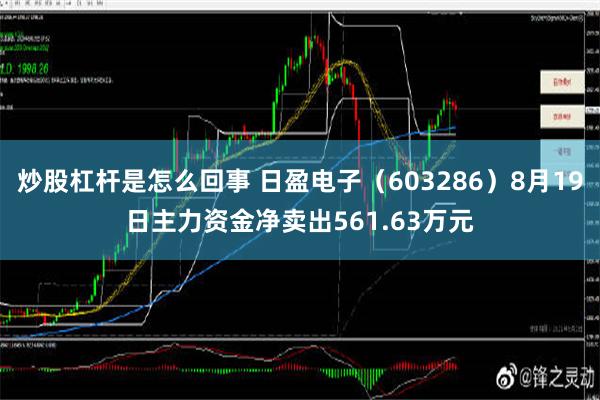   炒股杠杆是怎么回事 日盈电子（603286）8月19日主力资金净卖出561.63万元