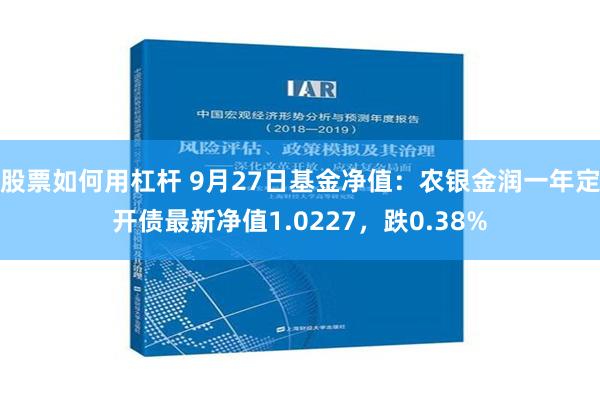 股票如何用杠杆 9月27日基金净值：农银金润一年定开债最新净值1.0227，跌0.38%