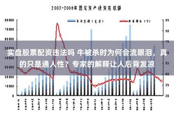 实盘股票配资违法吗 牛被杀时为何会流眼泪，真的只是通人性？专家的解释让人后背发凉