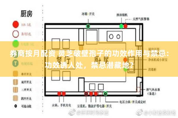 券商按月配资 灵芝破壁孢子的功效作用与禁忌：功效诱人处，禁忌