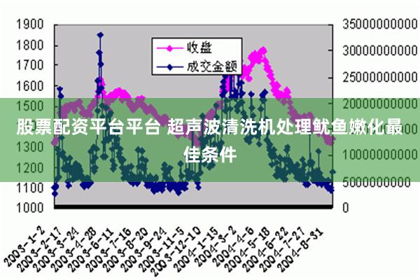 股票配资平台平台 超声波清洗机处理鱿鱼嫩化最佳条件