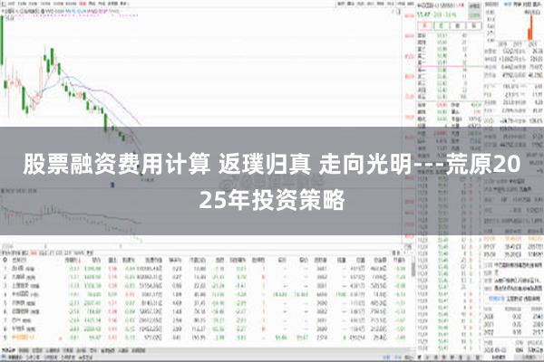 股票融资费用计算 返璞归真 走向光明---荒原2025年投资策略