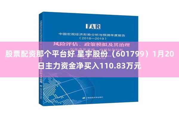 股票配资那个平台好 星宇股份（601799）1月20日主力资