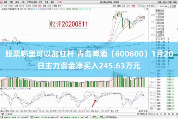 股票哪里可以加杠杆 青岛啤酒（600600）1月20日主力资金净买入245.63万元